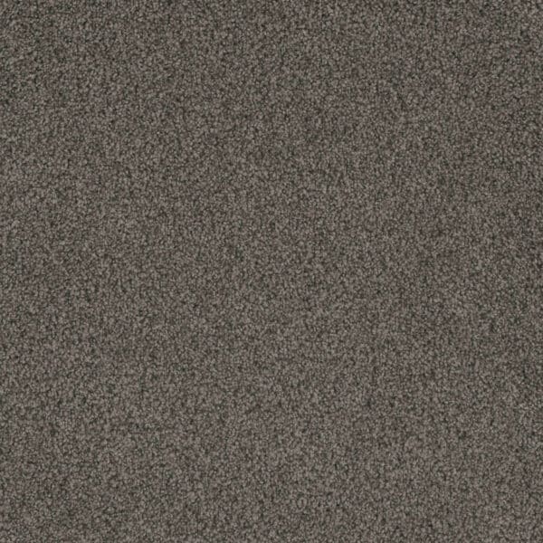 Dreamweaver Carpet Crown Garden I Delicate Drift Carpet 2345_2971