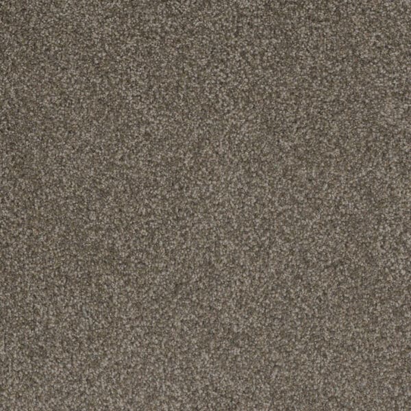 Dreamweaver Carpet Crown Garden II Status Quo Carpet 2365_2992