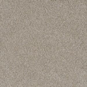 Dreamweaver Carpet Crown Garden I Navajo White Carpet 2345_3002