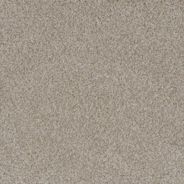 Dreamweaver Carpet Crown Garden I Navajo White Carpet 2345_3002