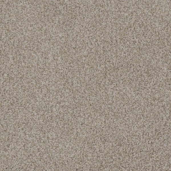 Dreamweaver Carpet Crown Garden I Paperwhite Carpet 2345_3003