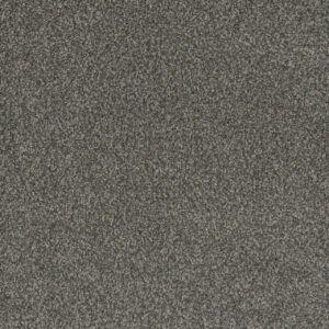 Dreamweaver Carpet Crown Garden I Steamboat Carpet 2345_3005