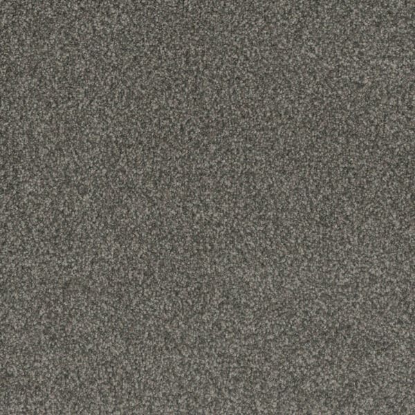 Dreamweaver Carpet Crown Garden I Steamboat Carpet 2345_3005
