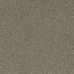Dreamweaver Carpet Crown Garden I Buff Carpet 2345_3017