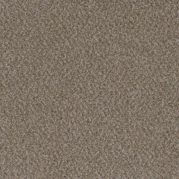 Dreamweaver Carpet Crown Garden III Buff Carpet 2370_3017