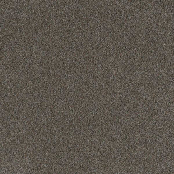 Dreamweaver Carpet Crown Garden II Roadmap Carpet 2365_3024