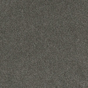 Dreamweaver Carpet Crown Garden I Naval Carpet 2345_3044