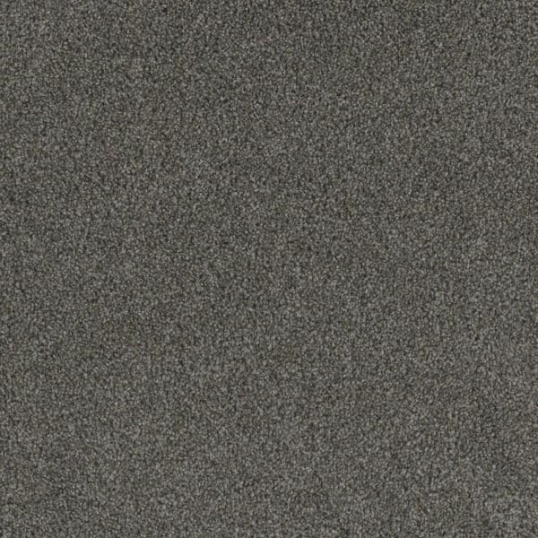 Dreamweaver Carpet Crown Garden II Naval Carpet 2365_3044