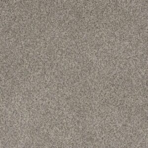Dreamweaver Carpet Crown Garden I Divine White Carpet 2345_3049