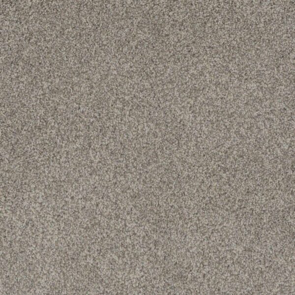Dreamweaver Carpet Crown Garden I Divine White Carpet 2345_3049