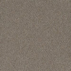 Dreamweaver Carpet Crown Garden I Barley Carpet 2345_3056