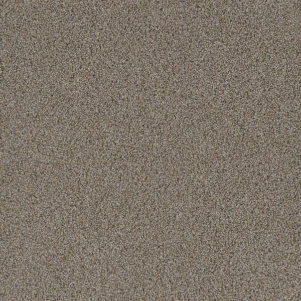 Dreamweaver Carpet Crown Garden I Barley Carpet 2345_3056