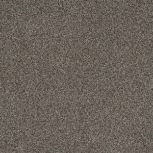 Dreamweaver Carpet Crown Garden I Straw Hat Carpet 2345_3059