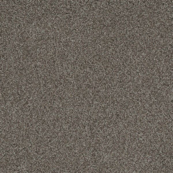 Dreamweaver Carpet Crown Garden I Straw Hat Carpet 2345_3059