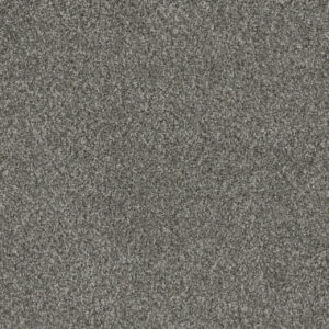 Dreamweaver Carpet Crown Garden I Silver Fox Carpet 2345_3064