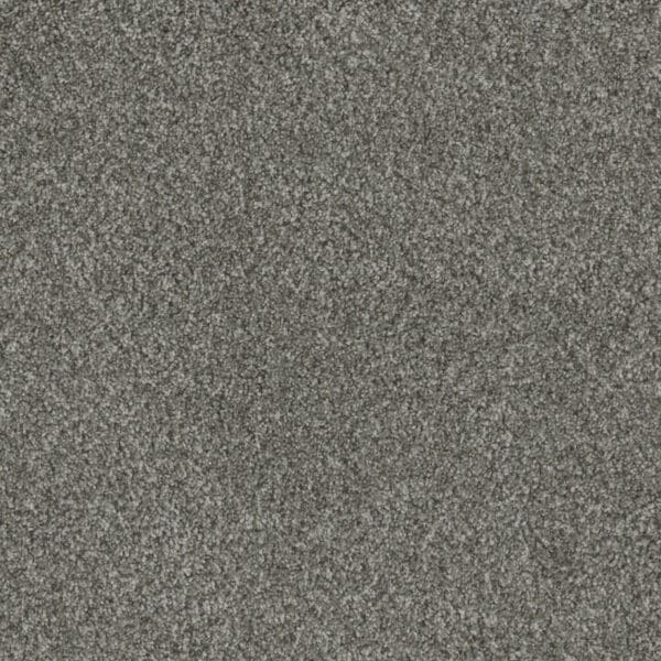 Dreamweaver Carpet Crown Garden I Silver Fox Carpet 2345_3064