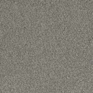 Dreamweaver Carpet Crown Garden I Nomad Carpet 2345_3066