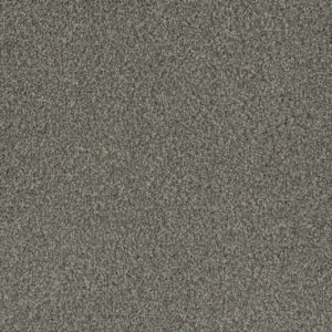 Dreamweaver Carpet Crown Garden I Oyster Bay Carpet 2345_3071