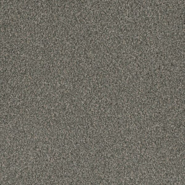 Dreamweaver Carpet Crown Garden I Oyster Bay Carpet 2345_3071