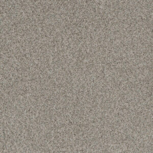 Dreamweaver Carpet Crown Garden I Classic Charm Carpet 2345_6022