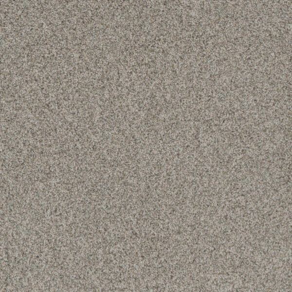 Dreamweaver Carpet Crown Garden I Classic Charm Carpet 2345_6022