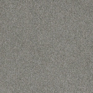 Dreamweaver Carpet Crown Garden I Aspen White Carpet 2345_6319