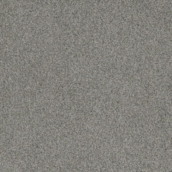 Dreamweaver Carpet Crown Garden I Aspen White Carpet 2345_6319