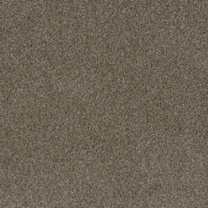 Dreamweaver Carpet Crown Garden I Natural Burlap Carpet 2345_6339