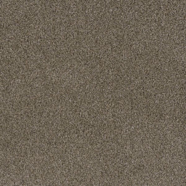 Dreamweaver Carpet Crown Garden I Natural Burlap Carpet 2345_6339