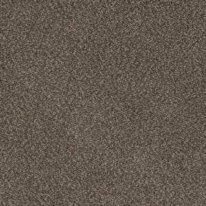 Dreamweaver Carpet Crown Garden I Dapper Dan Carpet 2345_6340