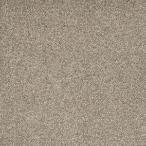 Dreamweaver Carpet Astounding II Dreamcatcher Carpet 2545_233