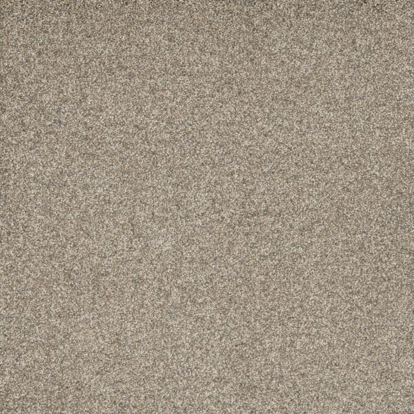 Dreamweaver Carpet Astounding II Dreamcatcher Carpet 2545_233