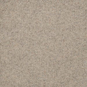 Dreamweaver Carpet Astounding II Fine Details Carpet 2545_259