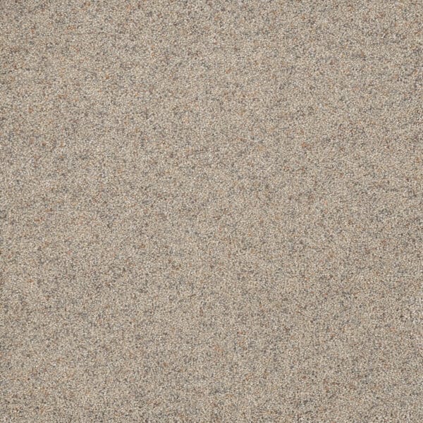 Dreamweaver Carpet Astounding I Fine Details Carpet 2530_259
