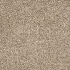 Dreamweaver Carpet Astounding I Morning Dew Carpet 2530_508