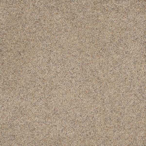 Dreamweaver Carpet Astounding I Morning Dew Carpet 2530_508