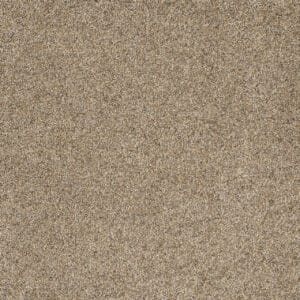 Dreamweaver Carpet Astounding II Amberwood Carpet 2545_529