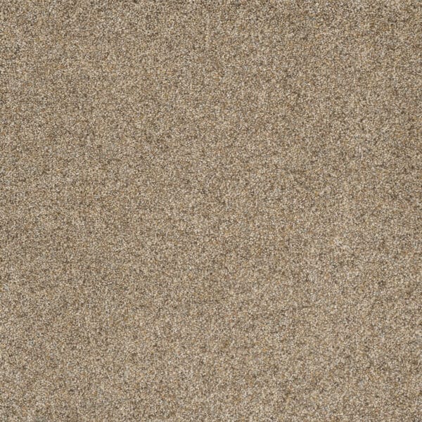 Dreamweaver Carpet Astounding I Amberwood Carpet 2530_529