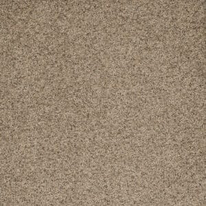 Dreamweaver Carpet Astounding II Fiery Clay Carpet 2545_545