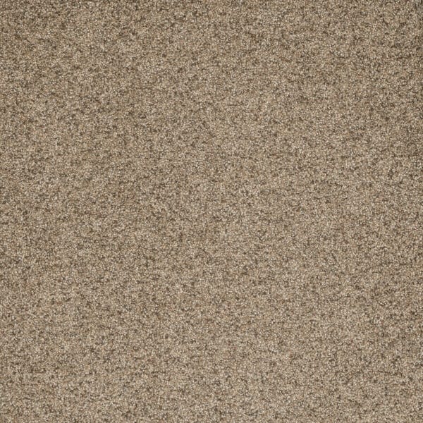 Dreamweaver Carpet Astounding II Fiery Clay Carpet 2545_545