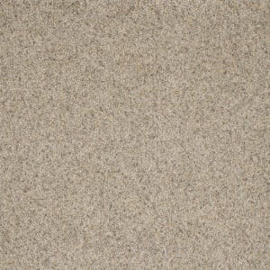 Dreamweaver Carpet Astounding I Pearl Stone Carpet 2530_632