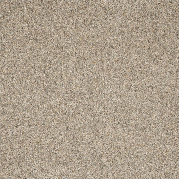Dreamweaver Carpet Astounding I Pearl Stone Carpet 2530_632