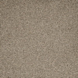 Dreamweaver Carpet Astounding I Wishing Well Carpet 2530_794
