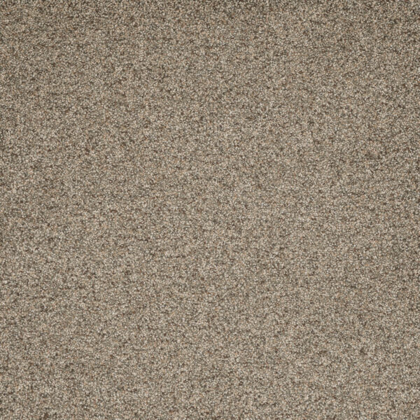 Dreamweaver Carpet Astounding I Wishing Well Carpet 2530_794