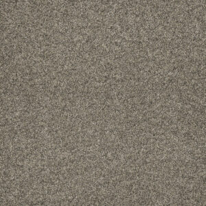 Dreamweaver Carpet Astounding II Baymont Carpet 2545_805