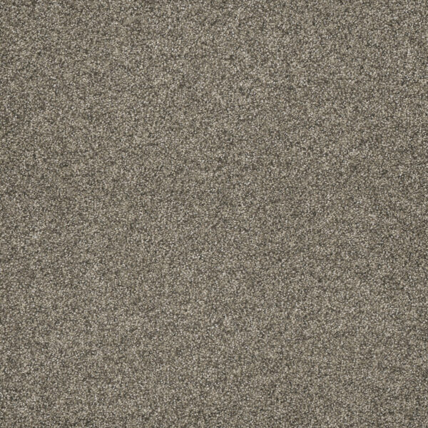 Dreamweaver Carpet Astounding II Baymont Carpet 2545_805
