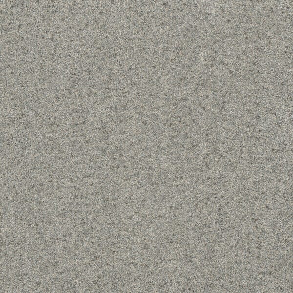 Dreamweaver Carpet Astounding I Nordic Mist Carpet 2530_837