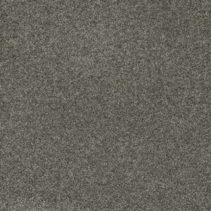 Dreamweaver Carpet Astounding II Anchors Aweigh Carpet 2545_993