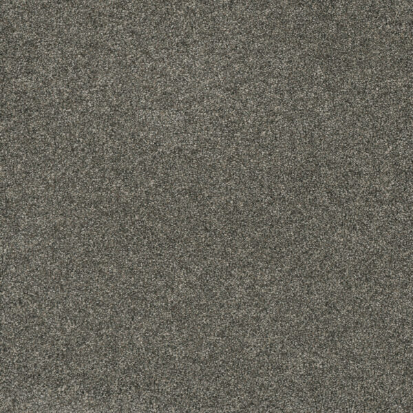 Dreamweaver Carpet Astounding I Anchors Aweigh Carpet 2530_993
