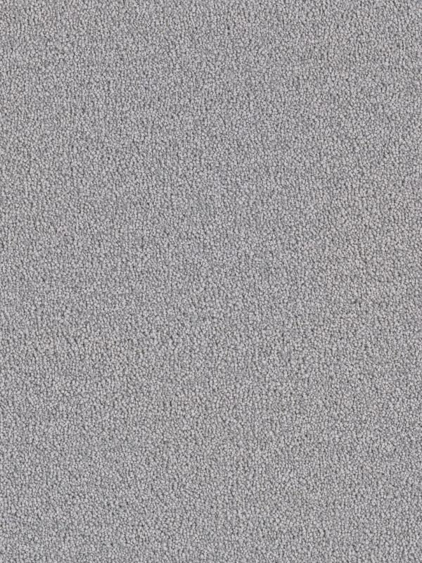 Dreamweaver Carpet Cape Cod Smoke Carpet 2540_420
